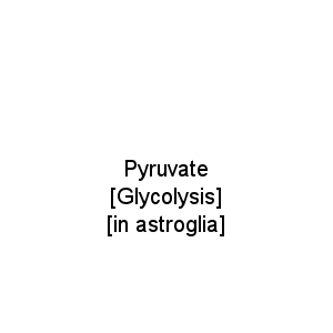 Pyruvate [Glycolysis] [in astroglia]